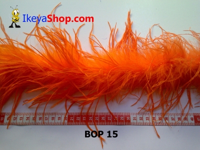 bulu ostrich BOP 15   feather  large2